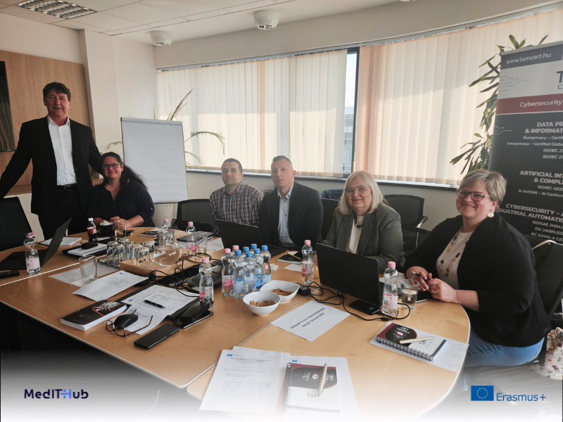 MedIT-HuB project partners and activities